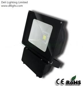 High Power Outdoor 70W LED Projector with CE and RoHS