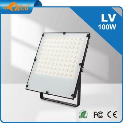 50W 100W High Lumens Outdoor Light IP65 Long-Distance LED Floodlight