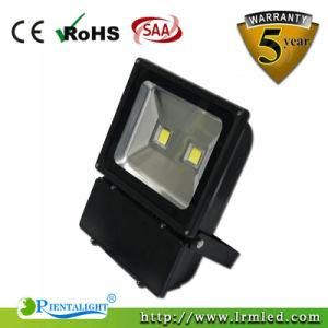 Bridgelux Outdoor Waterproof IP65 Meanwell AC90-305V 100W LED Flood Fixture