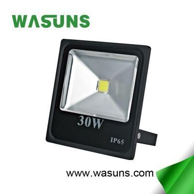 Ce RoHS Certificate Good Quality 30W LED COB Flood Light