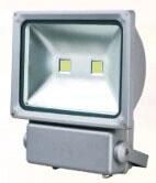 Cheaper Price LED Flood Light 100W