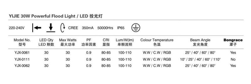 IP65 30W LED Flood Light with 50000 Hous Lifespan