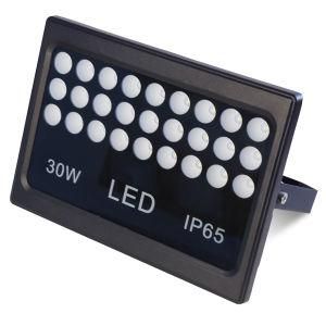 Good Quality 30W Outdoor Flood Light with Ce, RoHS