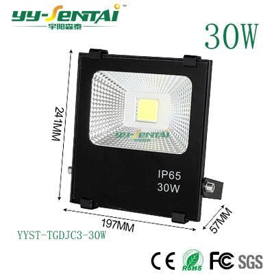 China Suppliers IP65 COB Focus Projector Lamp 30W LED Flood Light Outdoor