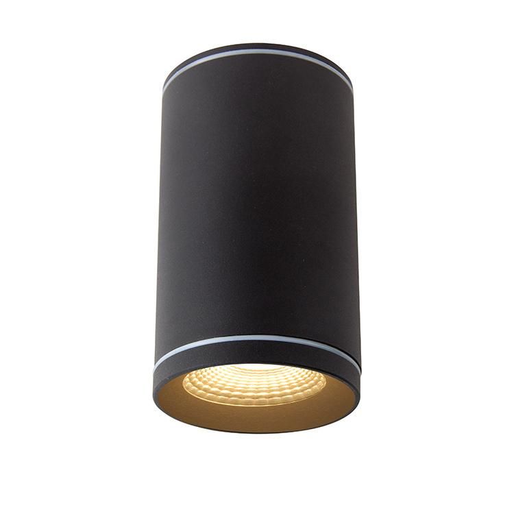 2020 New Style LED Spot Lamp Wall Spotlight IP65 Ceiling Lamp for Outside House