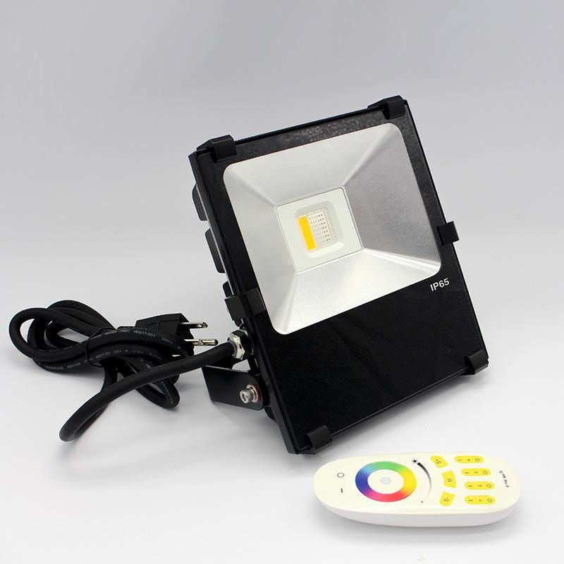 2019 Newest RGB 30W LED Flood Light, 5 Years Warranty RGB LED COB Flood Light