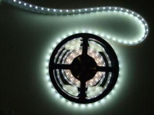 High Luminous LED Night Light for Signage