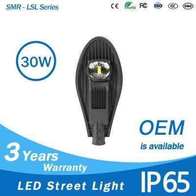 Hot Sale 30W LED Bridge Light IP65 Waterproof Light Bridge Long Lifespan LED Light for Bridge Highway Road