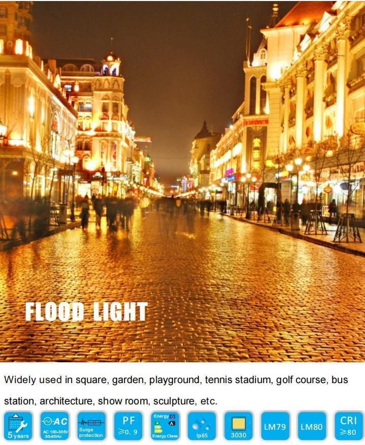 200W Professional Lighting Meanwell Driver 30000lm High Brightness LED Floodlight