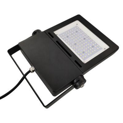 High Voltage Explosion Proof LED Floodlights 100W Lighting Outdoor Spotlights Spot Flood Lamp