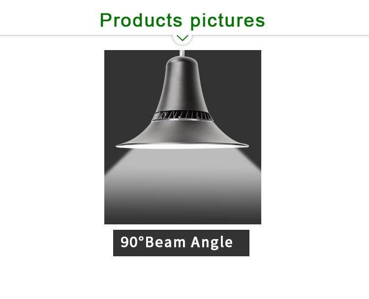 Hot Sale IP66 LED Outdoor Park Light 60W with 5 Years Warranty LED Garden Light