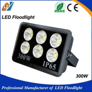 Narrow Beam Angle High Brightness 300W LED Floodlight