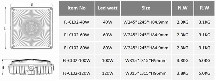 High Quality IP65 Waterproof Lighting 50W 100W 150W 200W Canopy Lighting