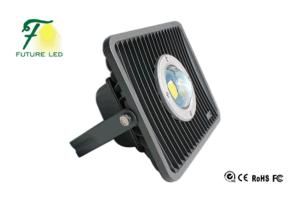 50W LED Tunnel Light with Competitive Price (FYT-S401-50W)