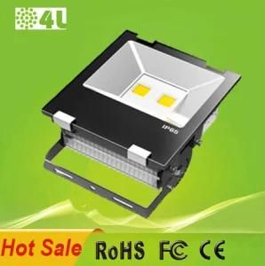 100W IP65 Outdoor LED Flood Light with CE RoHS FCC Approval