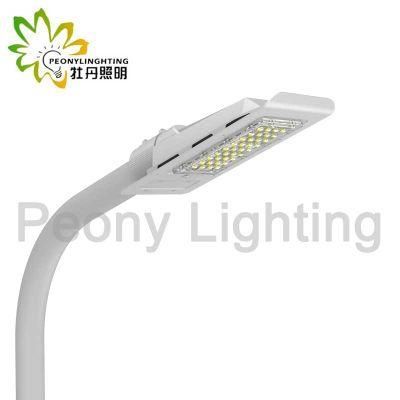2019 New 30W LED Street Light with Ce RoHS Approved 3 Years Warranty