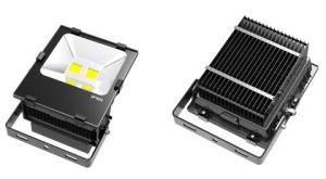 Bridgelux Chip LED Flood Light 50W IP65 Top Quality High End Homa Lighting