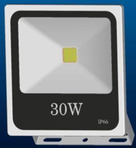 Best Price LED 30W Floodlight with High Definition and Good Quality Driver
