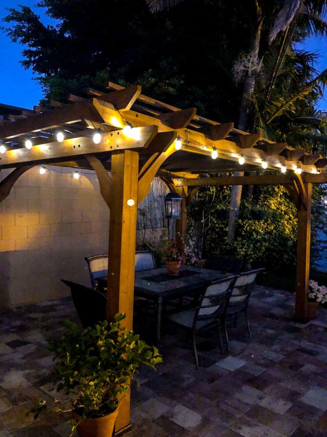Warm Nature Daylight White Hanging Light for Cafe