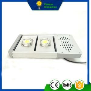 100W LED Apple Street Light