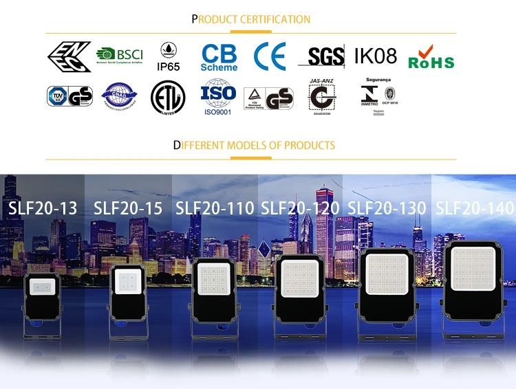 Waterproof IP66 Outdoor Sport Light