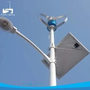 40W Photovoltaic Cell Vertical Wind Solar Hybrid LED Street Park Lighting
