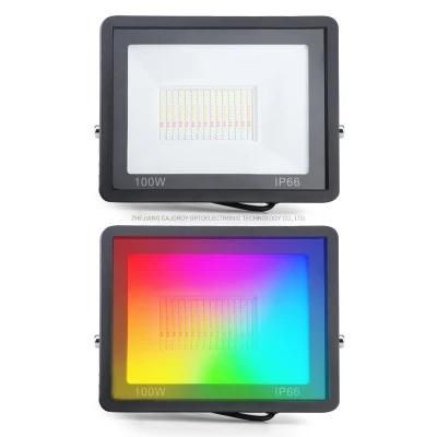 Projecteur Solaire 800W Waterproof All Diecast Aluminum Garden Outdoor RGB Solar Flood Lights