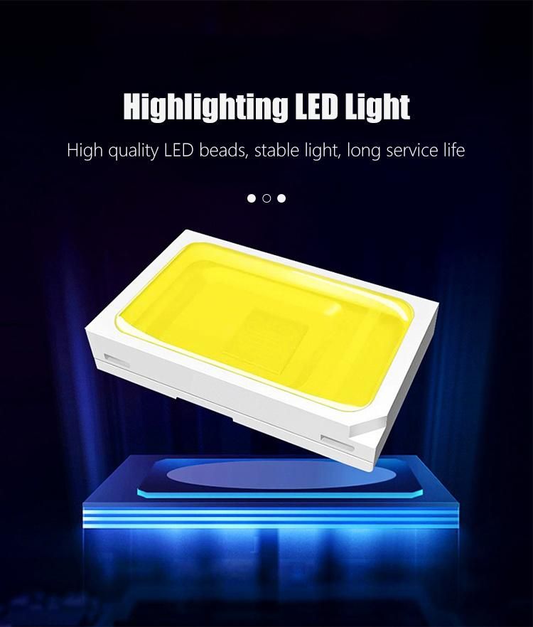 High Brightness LED Solar Energy Lighting Flood Light Projection Light
