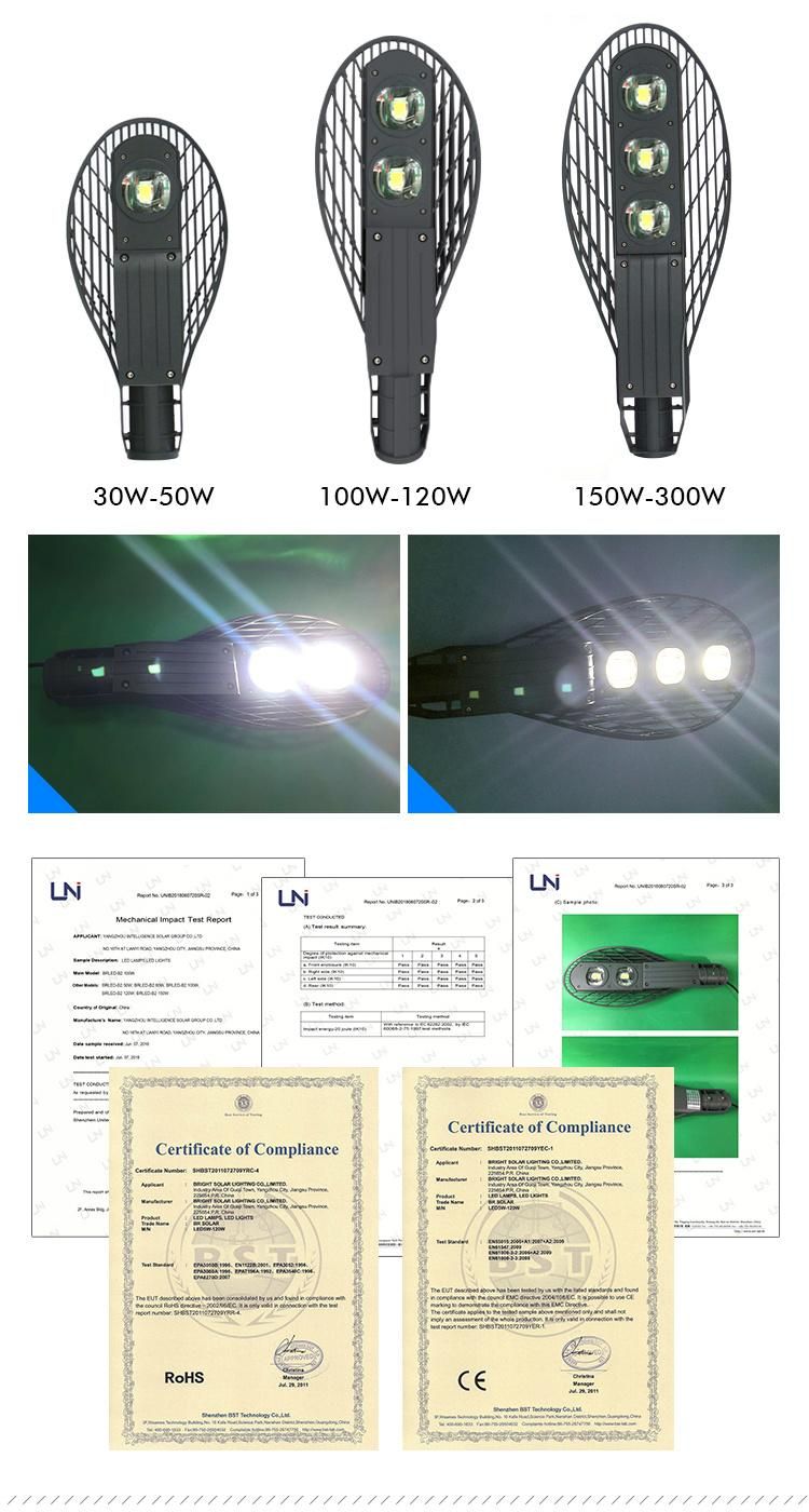 IES RoHS CE IEC Certified Outdoor LED Street Light COB Type LED Street Lamp