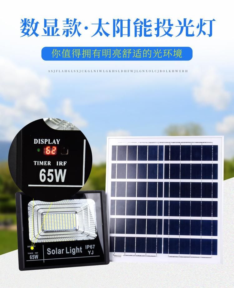 Remote Control Light Sensor10W 20W 30W 50W RGB IP65 Waterproof 220V Outdoor Solar Lamp