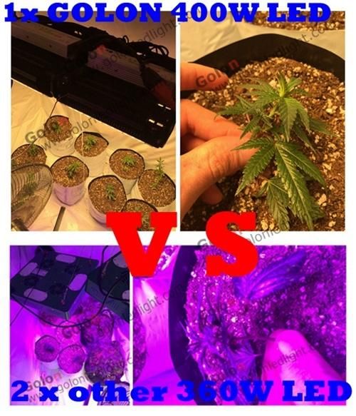 400W Full Spectrum LED Grow Light for Cannaabis Mariijuana