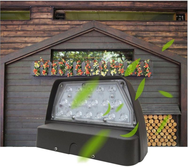 Aluminum 42W LED Outdoor Down Wall Pack Light with UL&Ce Certificate