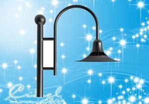 IP65 Waterproof 60W LED Garden Lighting
