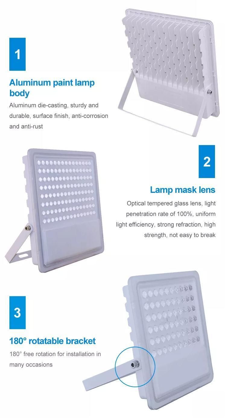 Landscape Field Cheap Good Quality New Design 100W LED Flood Light