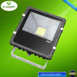 CREE+Meanwell 5years Warranty 10W 30W 100W 200W Floodlights LED with CE RoHS