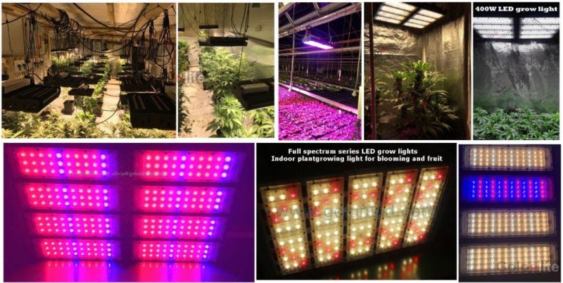 400W Full Spectrum LED Grow Light for Cannaabis Mariijuana