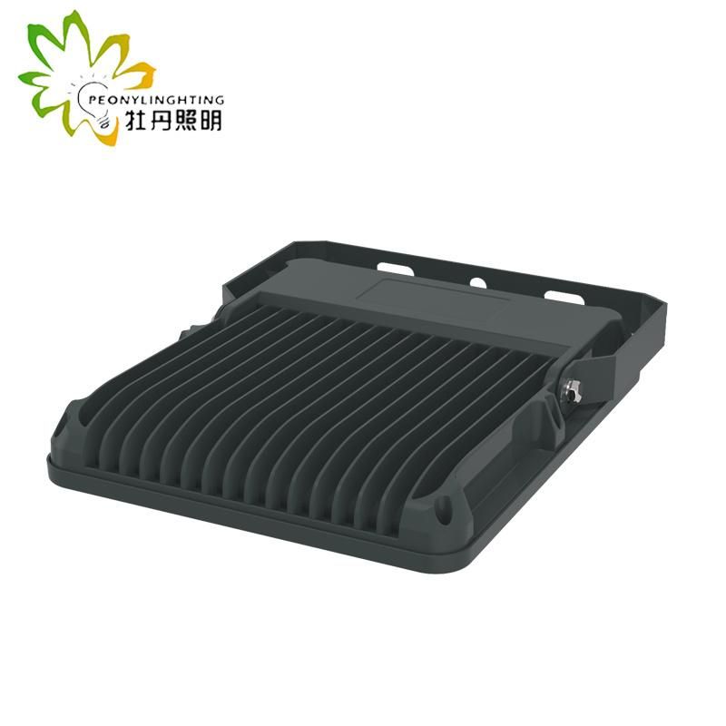 2019 Newest 5 Years Warranty LED 100W Flood Lighting with SMD Chips