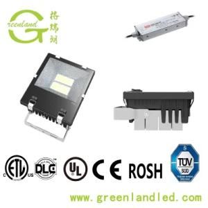Ce RoHS Bridgelux 45 Mil Chip High Quality 3 Year Warranty Dimmable LED Flood Light