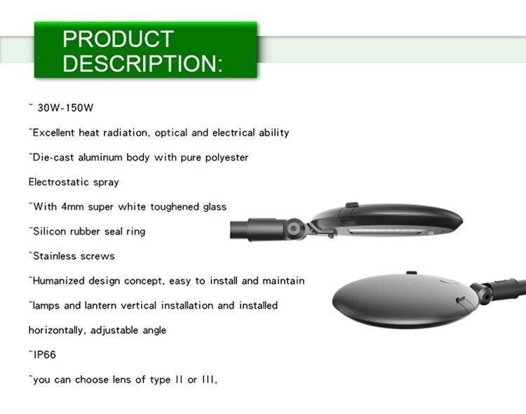 IP66 Ik10 Lm-80 Ce CB LVD ENEC 130lm/W 100W LED Garden Light with 7 Year Warranty