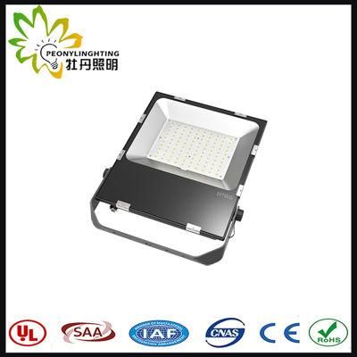 2019promotion 120lm/W LED 100W Flood Lamp with 5 Years Warranty