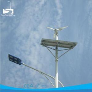 Energy Saving 500W Five Blades Wind Turbine Generator Wind Solar Hybrid Street Light