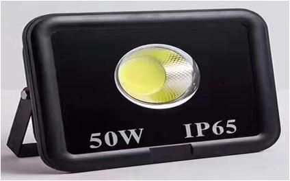 Esavior 50W/100W/200W COB LED Street /Garden/Flood Light for Outdoor Lighting