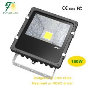 Advertising Board Spot Light 50W LED Floodlight