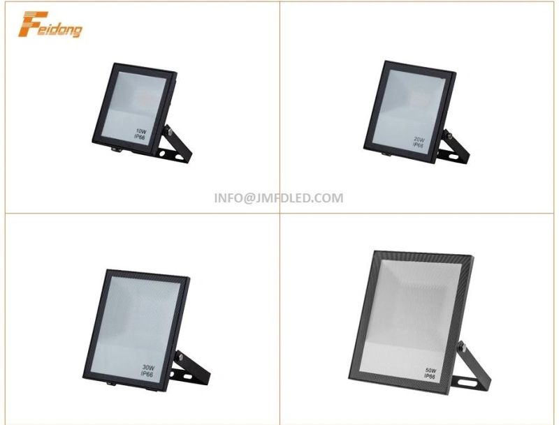 RGB LED Flood Light 10W 20W 30W 50W 100W 150W 200W 100-265VAC with IR Remote Controller Outdoor Floodlight Garden Lighting Decoration Lamp for Park Zoo Hospital