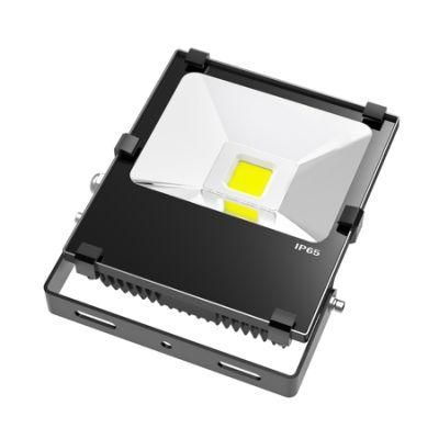 IP65 Black 30W LED Floodlight Outdoor LED Chip Flood Light