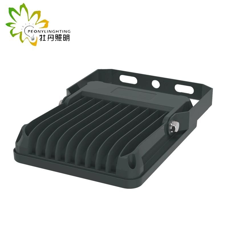 2019 Newest 5 Years Warranty LED 30W Flood Lighting with COB Chips