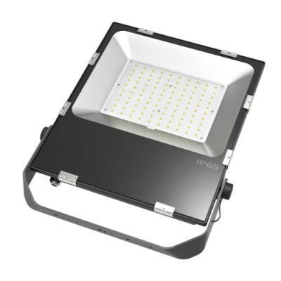 Slim Housing Osram 125lm/W Driverless Outdoor 100W LED Floodlight