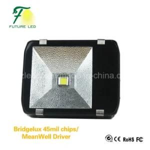 CE 80W LED Flood Light/Tunnel Light with Competitive Price