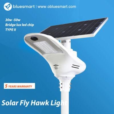 Bluesmart All in One Solar Street Light Lifeo4 Battery 15W-120W