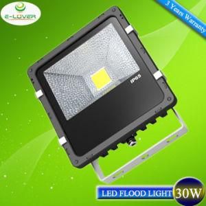 Bridgelux Chip Meanwell Driver 30W LED Flood Lighting